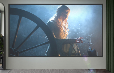 Projection screen BlitzWolf BW-VS4 120"